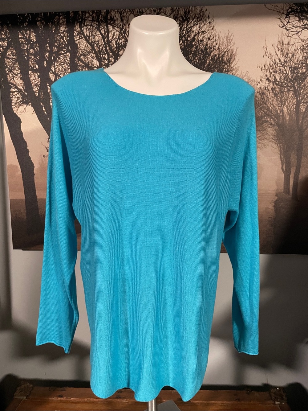 Neiman Marcus Women's Turquoise Boatneck Long Sleeve Top